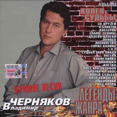 Владимир Черняков Коллекция - 12 альбомов 